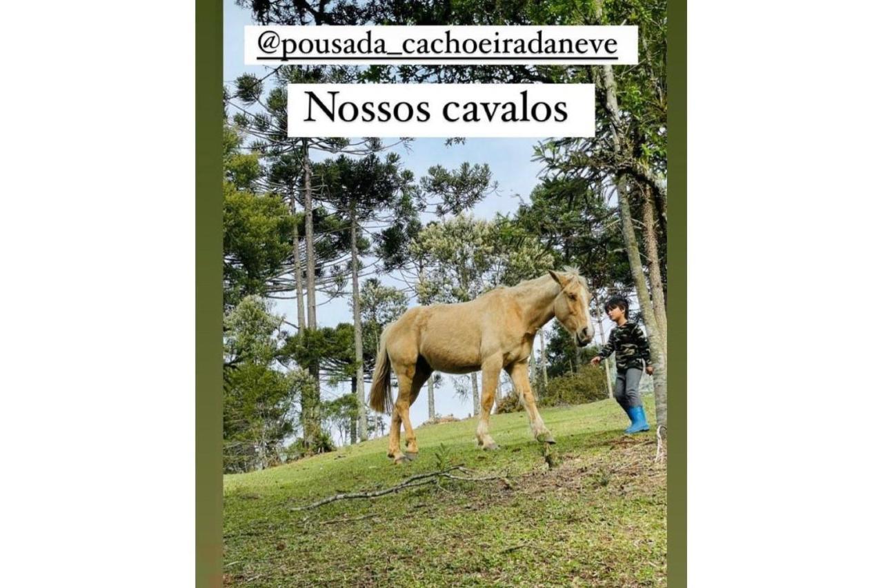 Floresta Secreta- Pousada Cachoeira Da Neve Urubici Extérieur photo